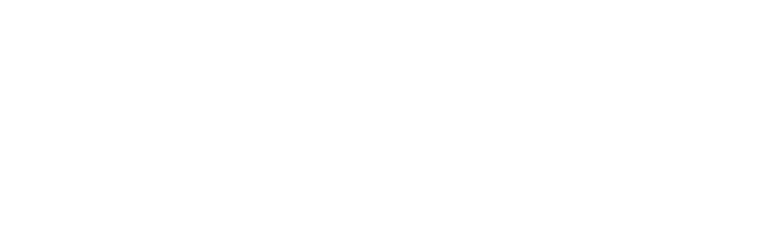 Portsmouth City Council Logo WHITE